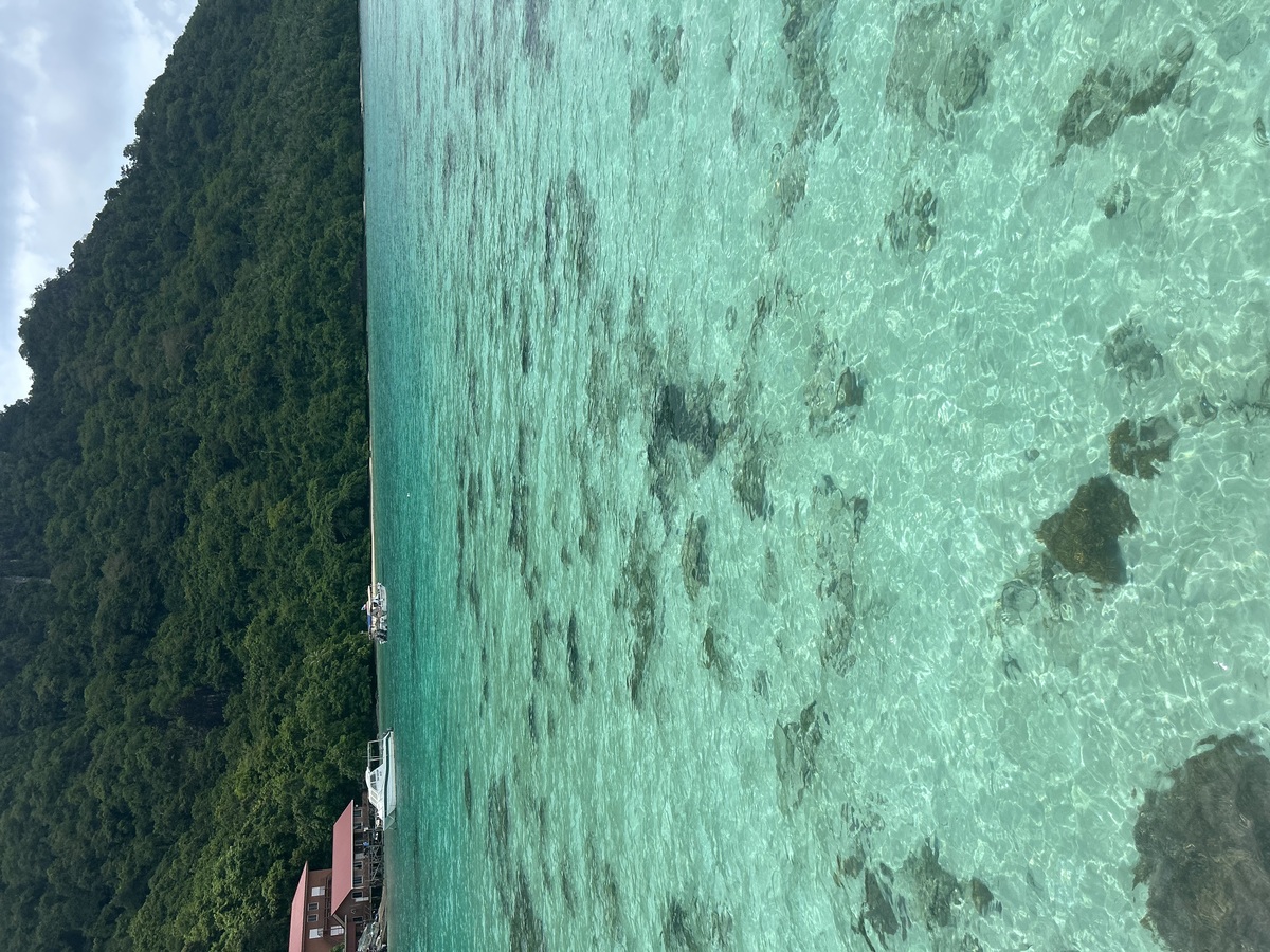 IMG_8132.jpeg