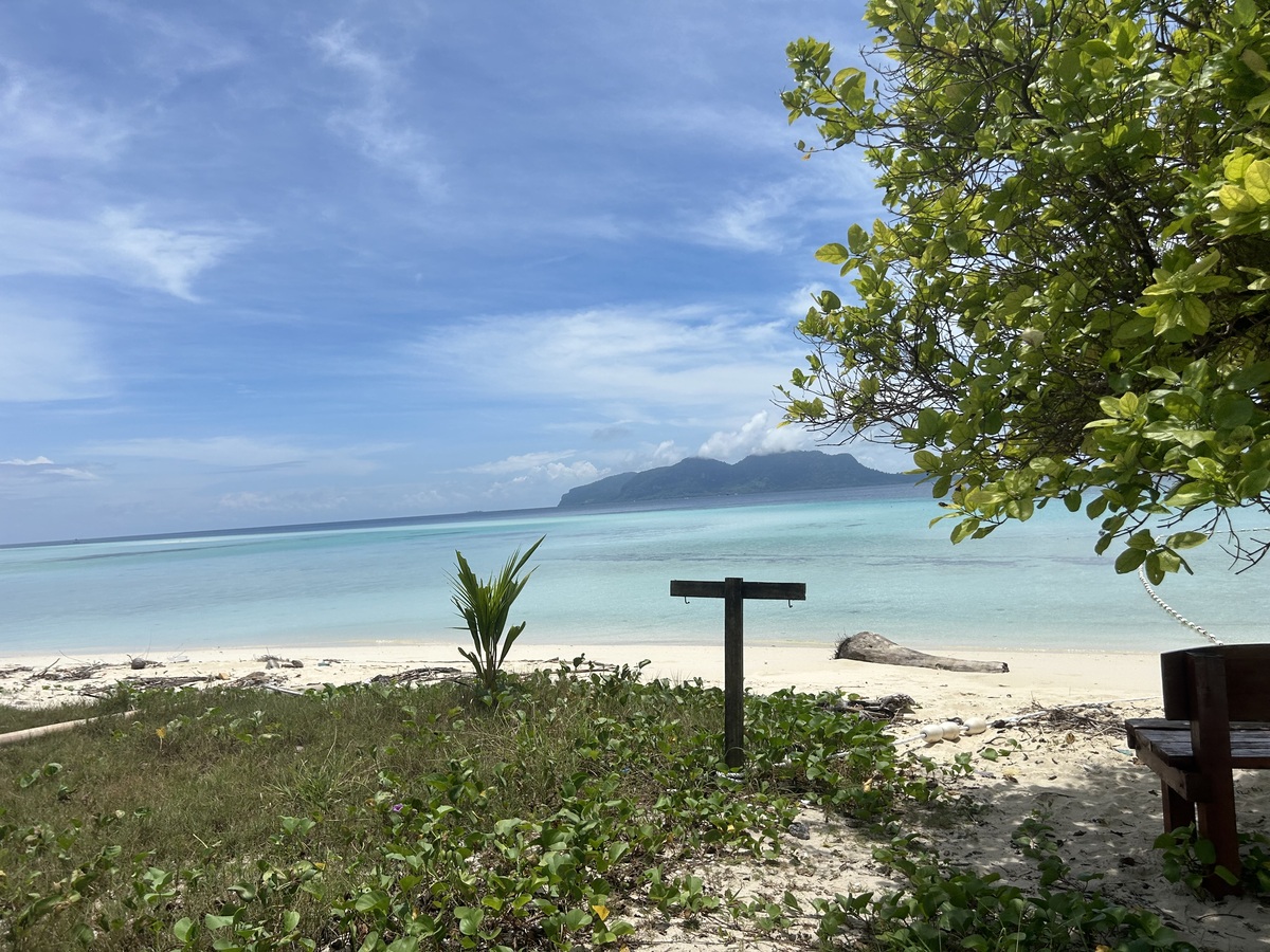 IMG_8162.jpeg