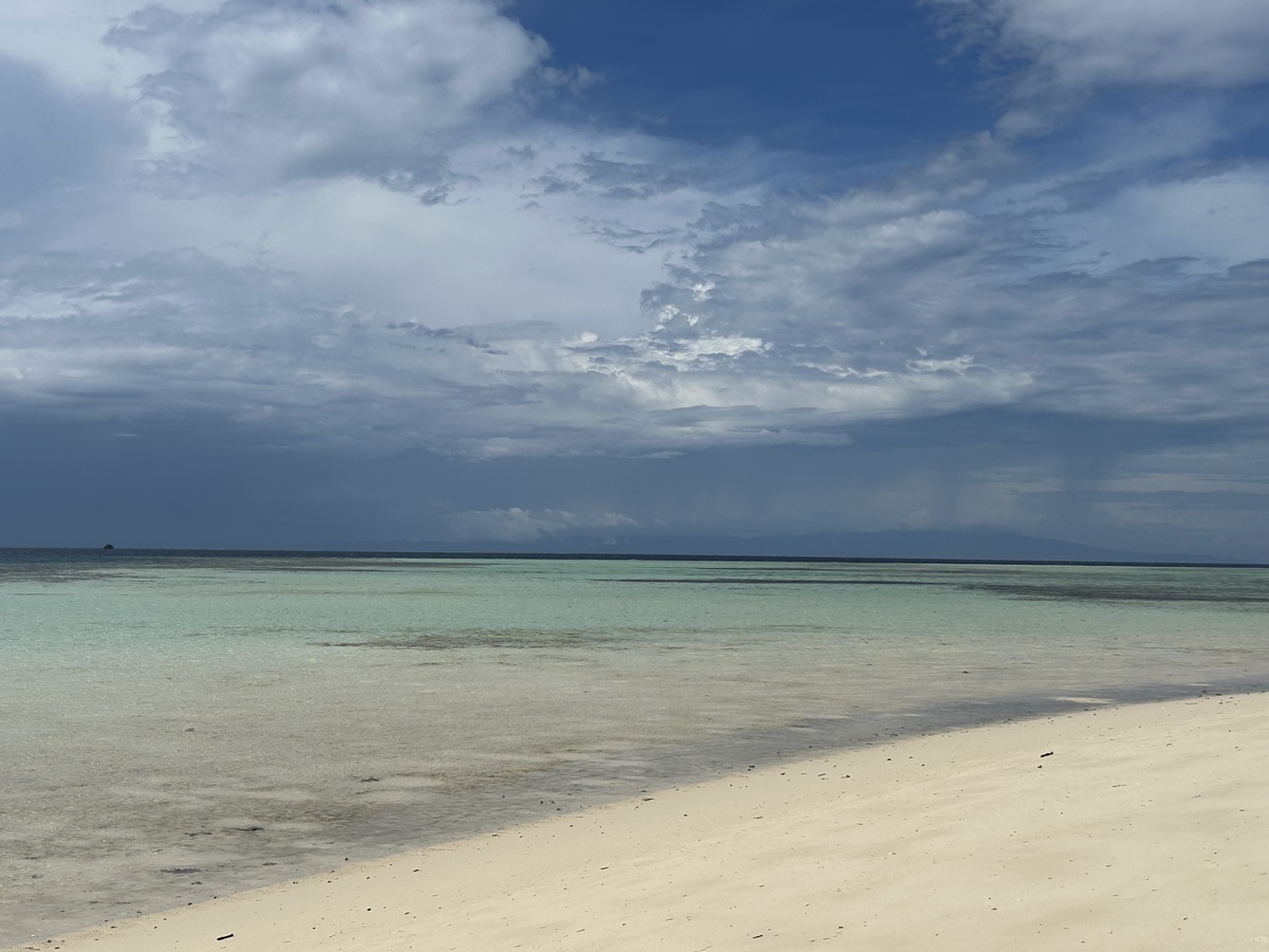 IMG_8192.jpeg