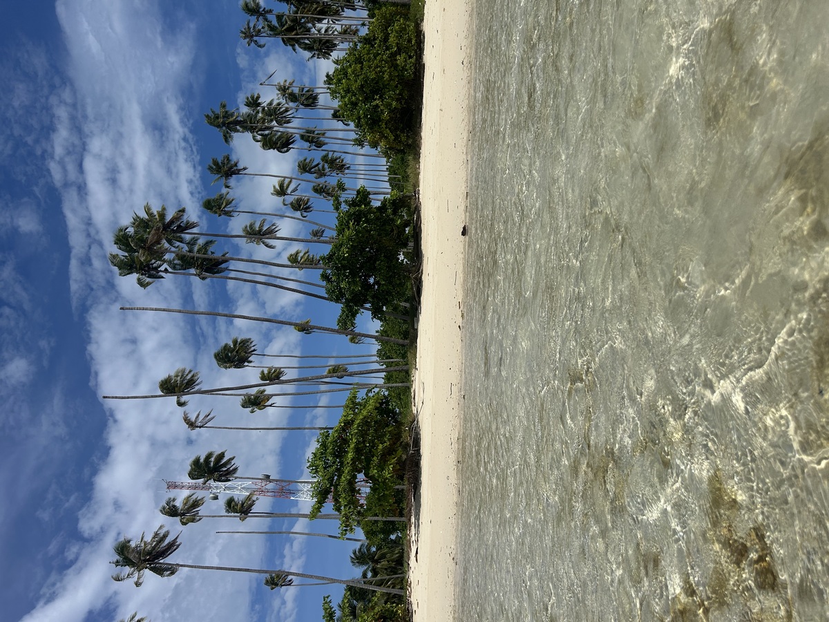 IMG_8195.jpeg