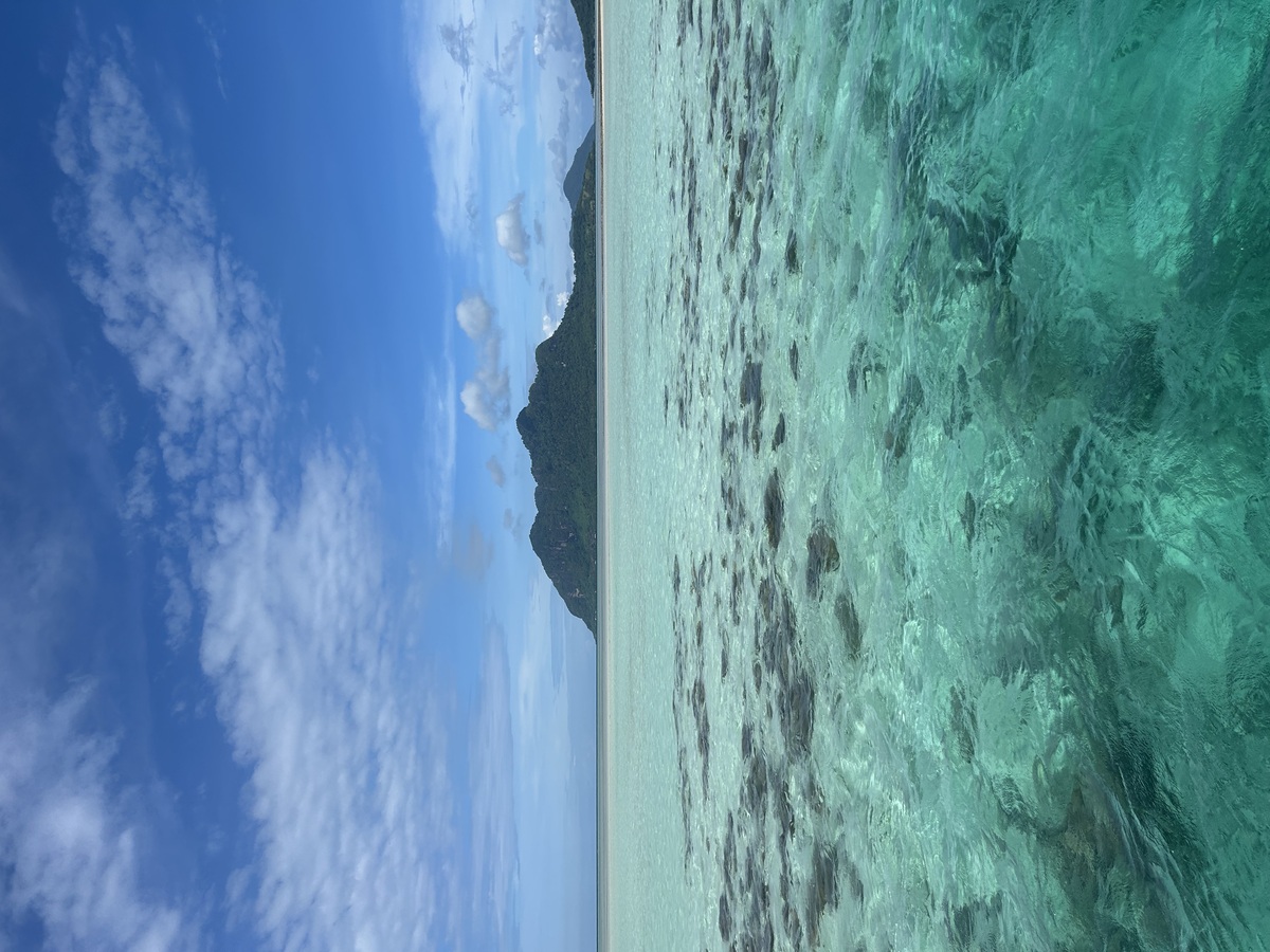 IMG_8208.jpeg