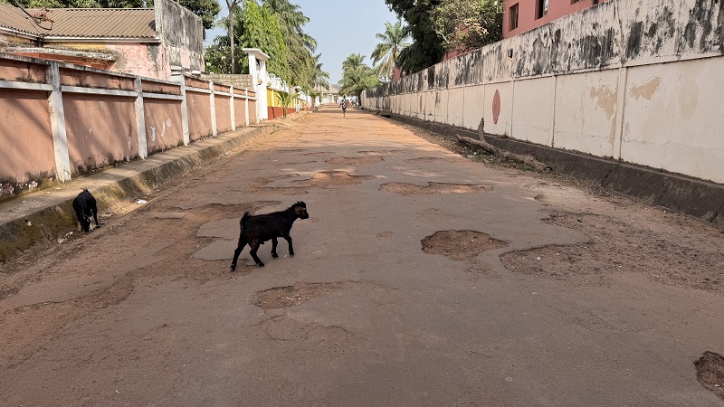Bissau1.jpg