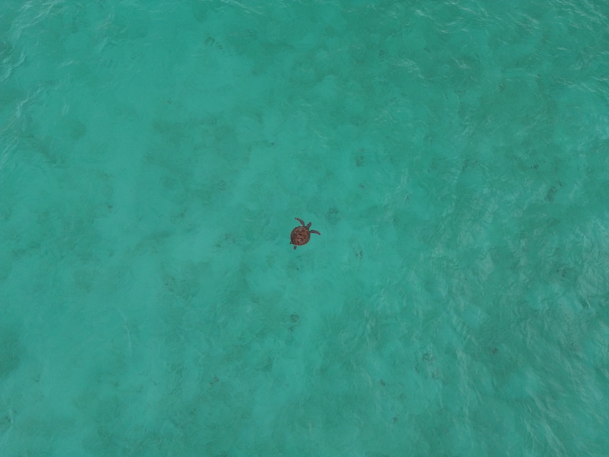 dji_fly_20250318_070756_412_1742253689857_photo.jpg