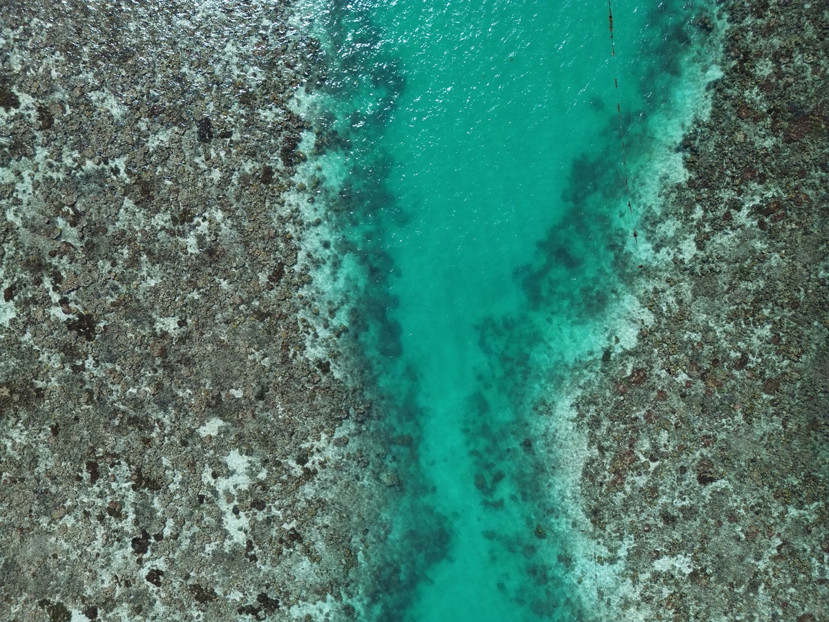 dji_fly_20250318_151706_433_1742282234273_photo.jpg