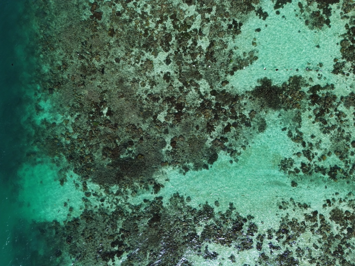 dji_fly_20250318_151844_437_1742282348619_photo.jpg