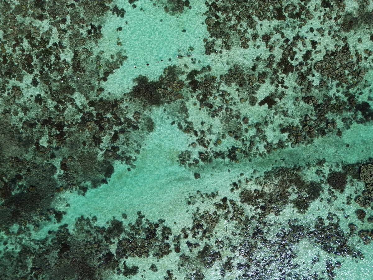 dji_fly_20250318_151920_440_1742282398188_photo.jpg