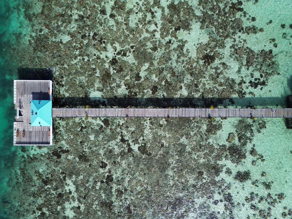 dji_fly_20250318_152056_441_1742282481511_photo.jpg