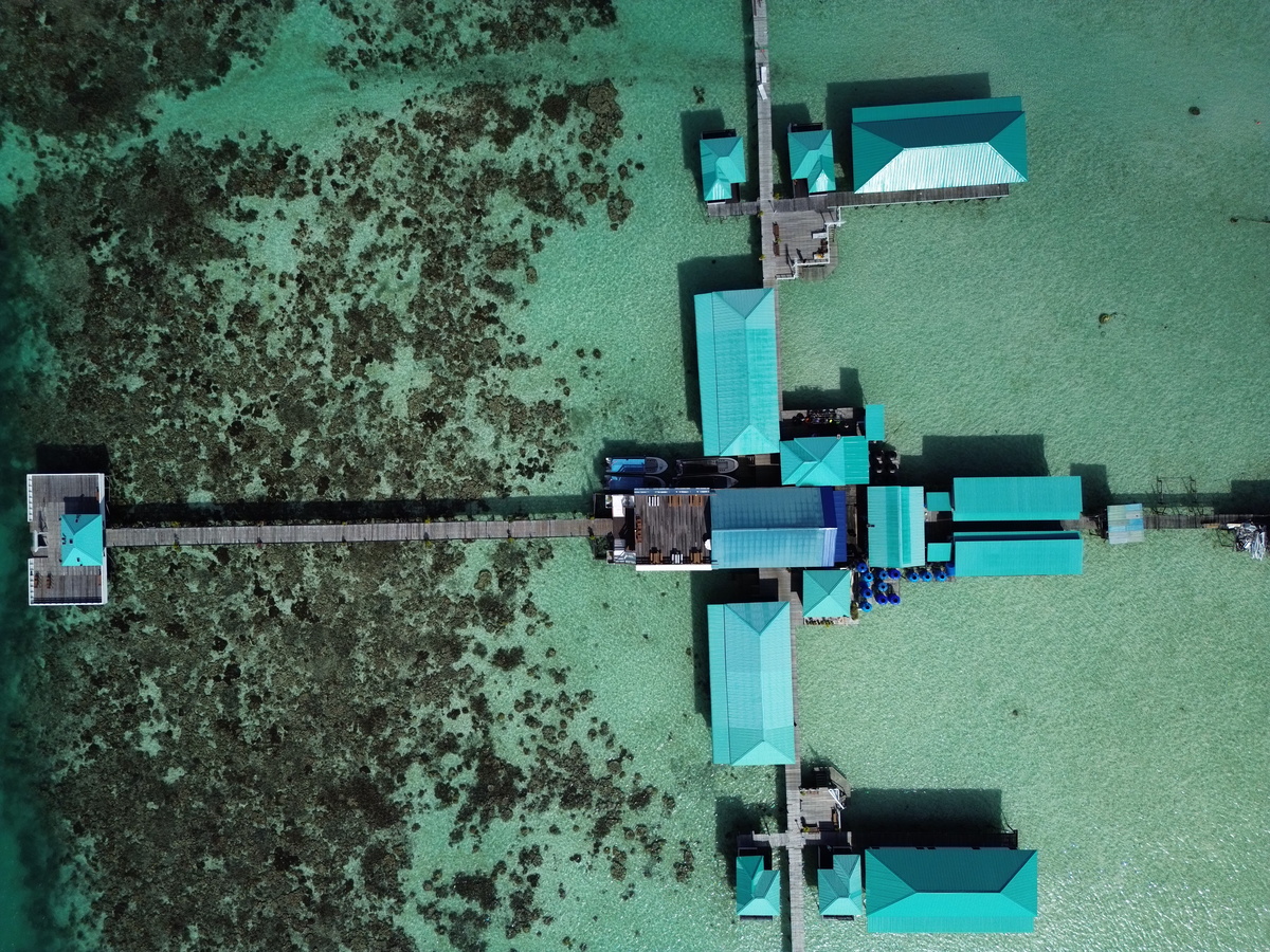 dji_fly_20250318_152224_444_1742282570467_photo.jpg