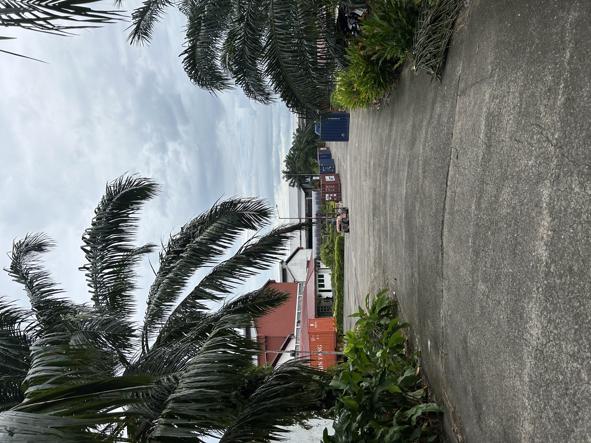 IMG_8413.jpeg