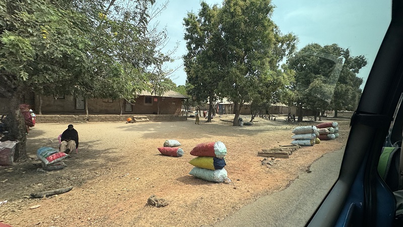 Bissau-Ziguinchor12.jpg