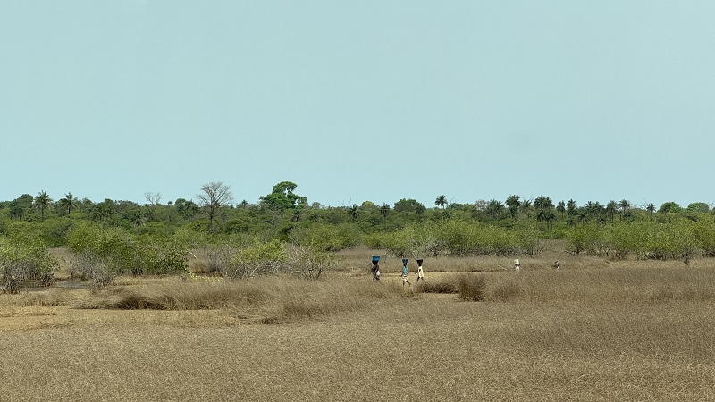 Bissau-Ziguinchor17.jpg