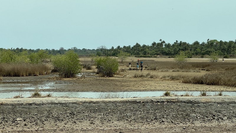 Bissau-Ziguinchor18.jpg