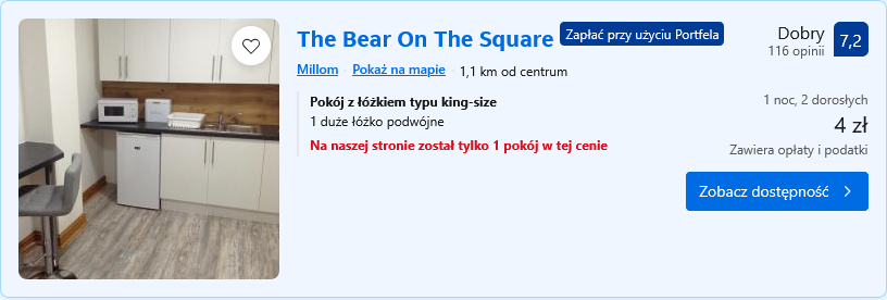 bear on the square.png