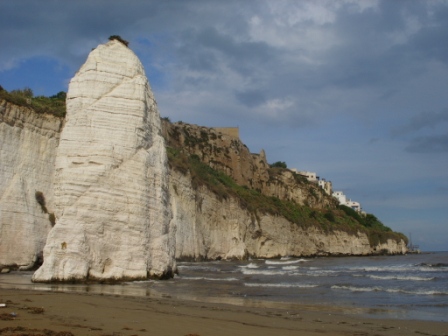SS853459.JPG