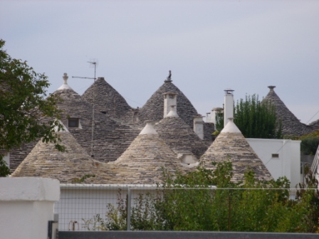 SS853619.JPG