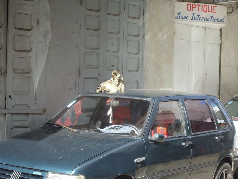 135.JPG