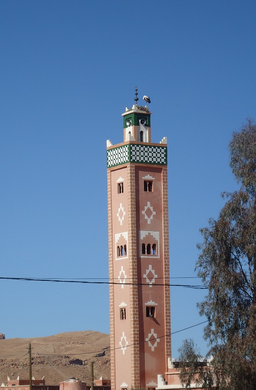 143.JPG