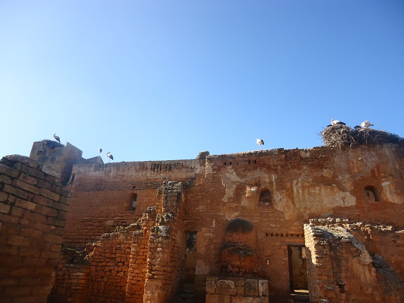145.JPG