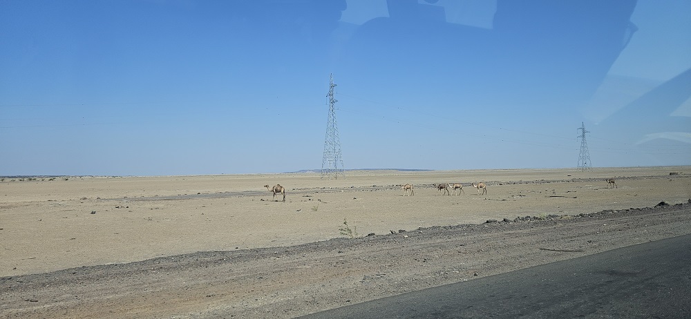 Afar2.jpg