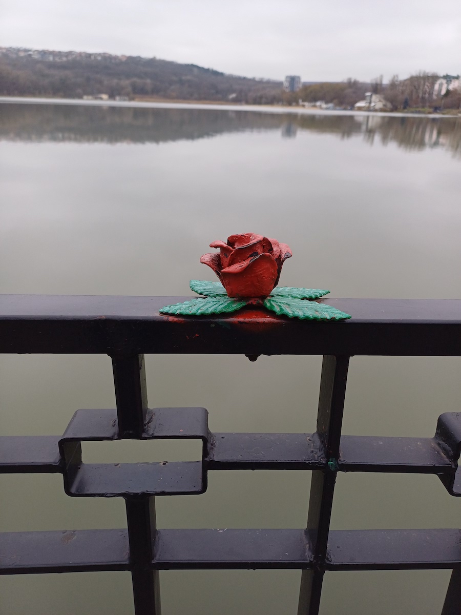 20241204_131513.jpg