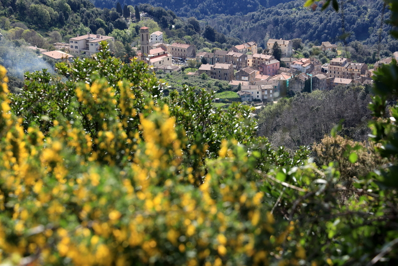 06-IMG_9258.JPG