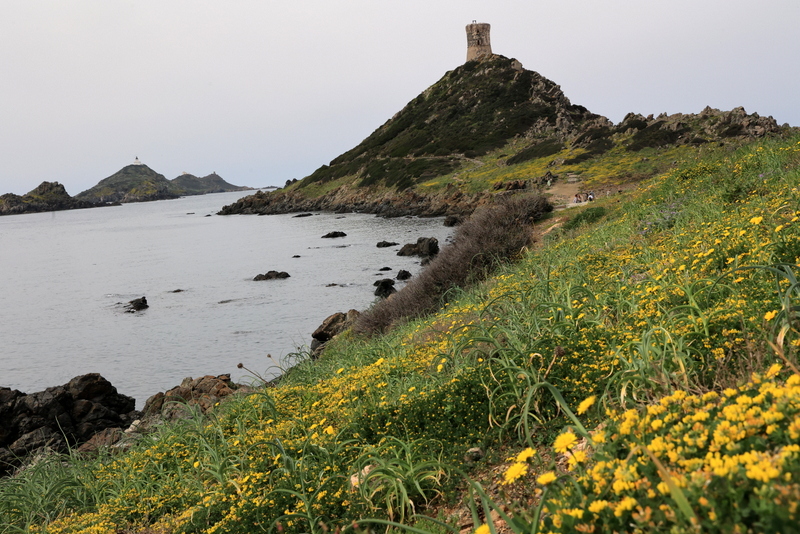 10-IMG_9414.JPG