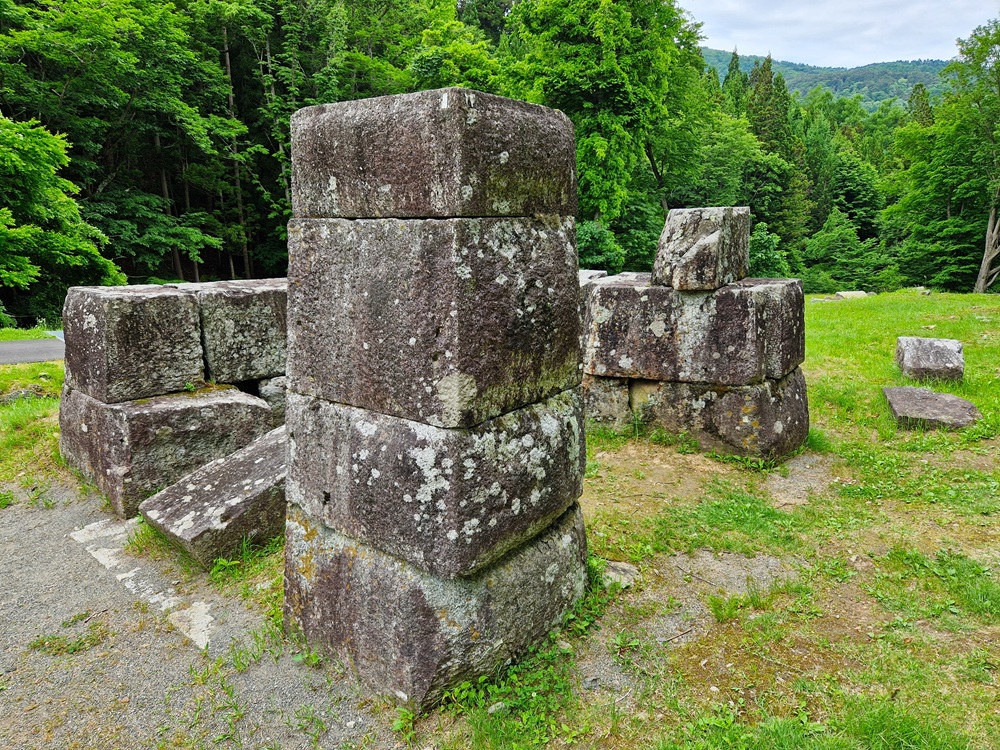 20250616_115808.jpg