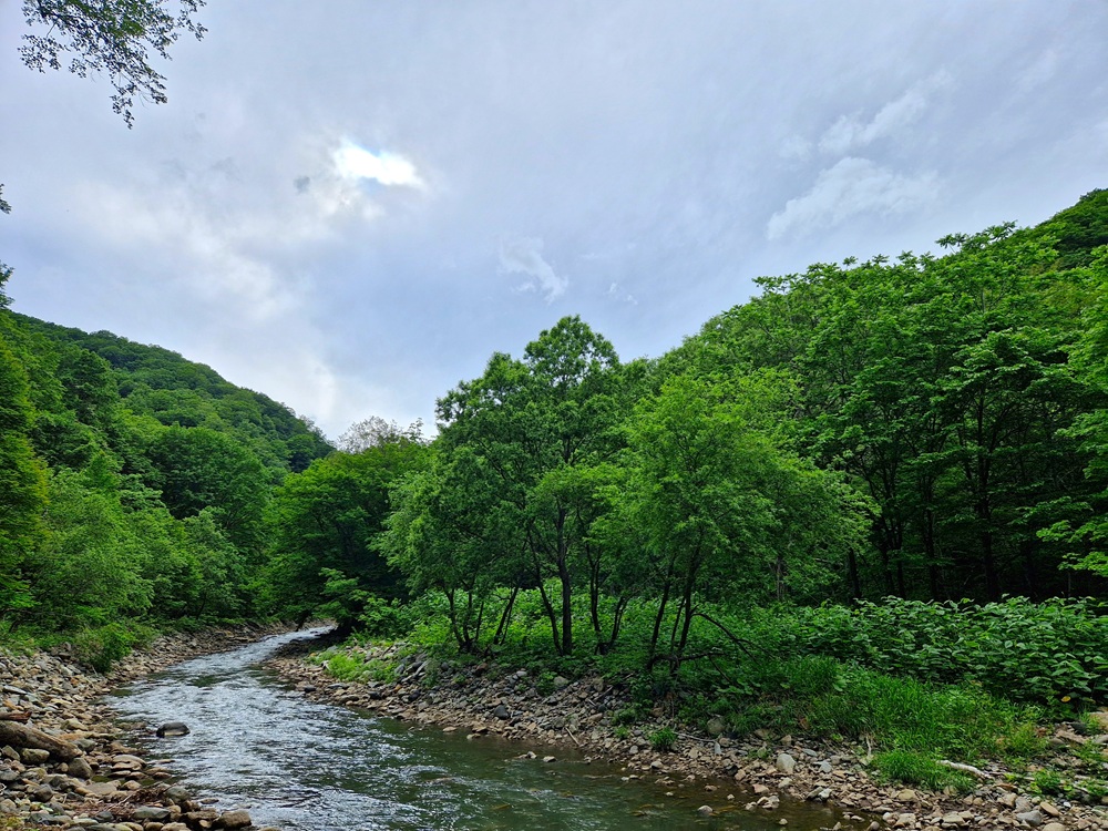 20250616_160124.jpg
