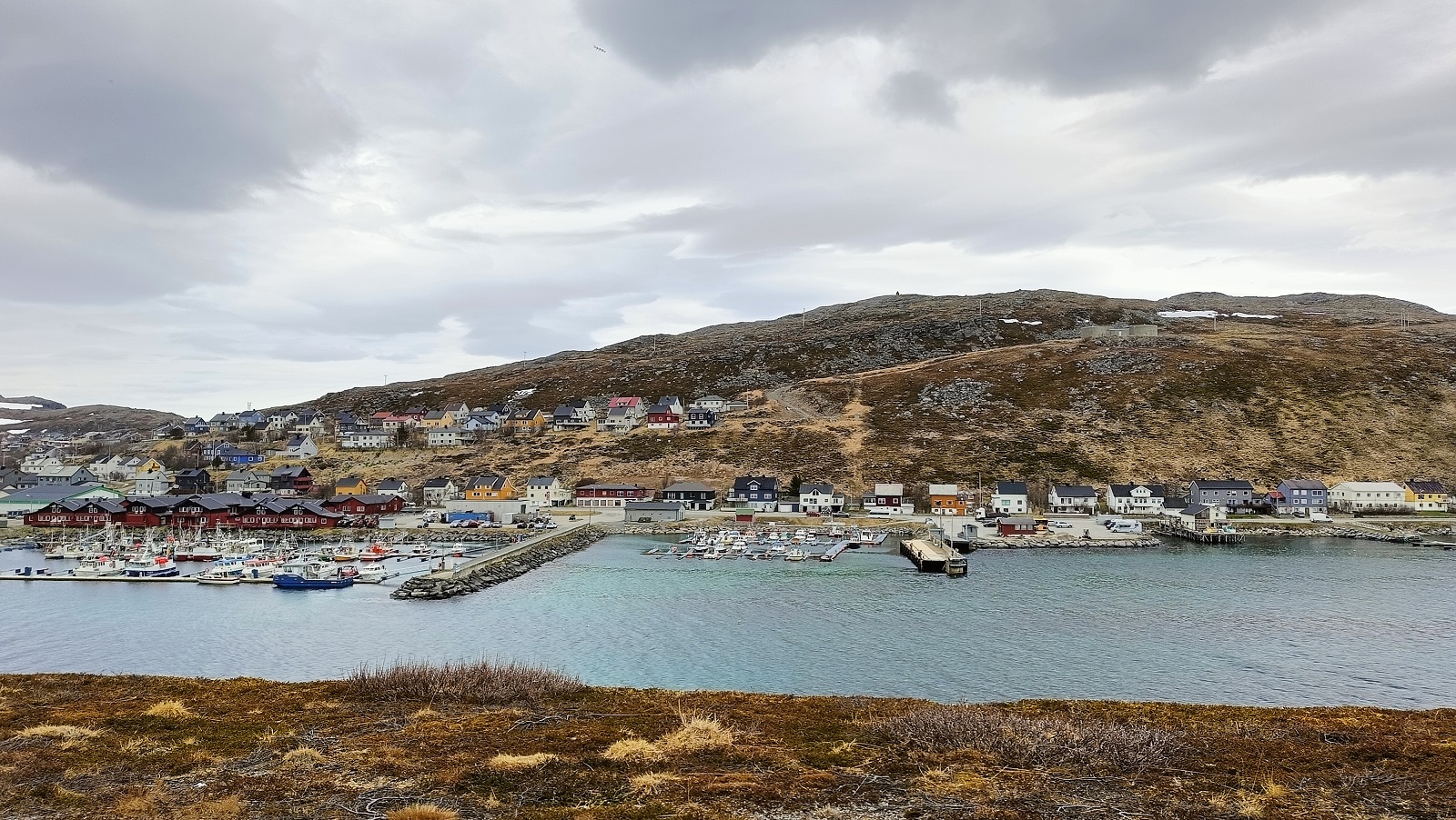 79.jpg
