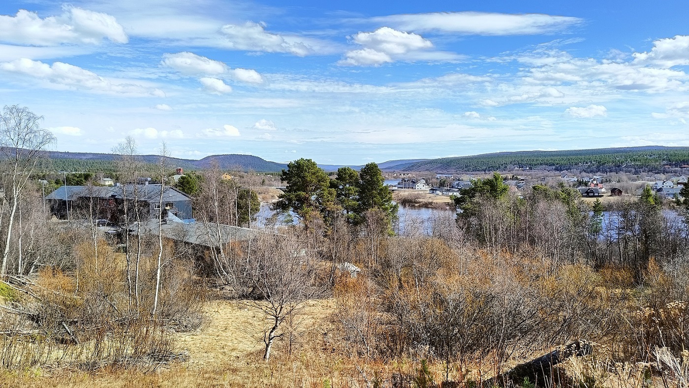 105.jpg