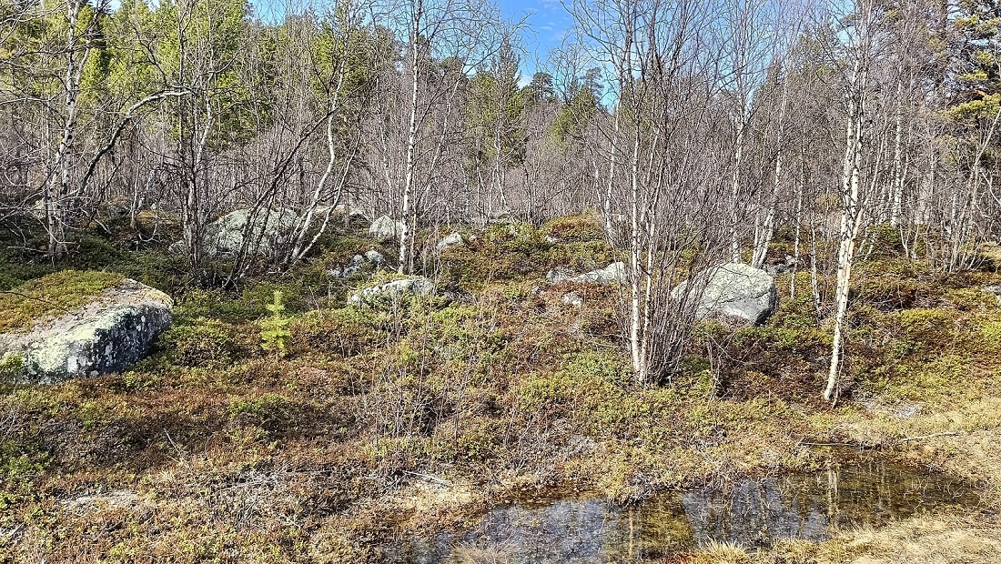 110.jpg