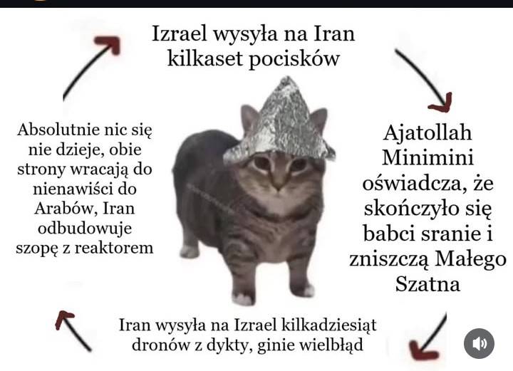 kucacz.jpeg