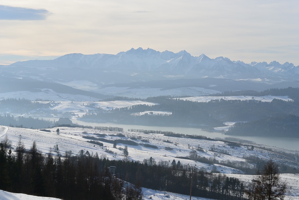 DSC_1957.JPG