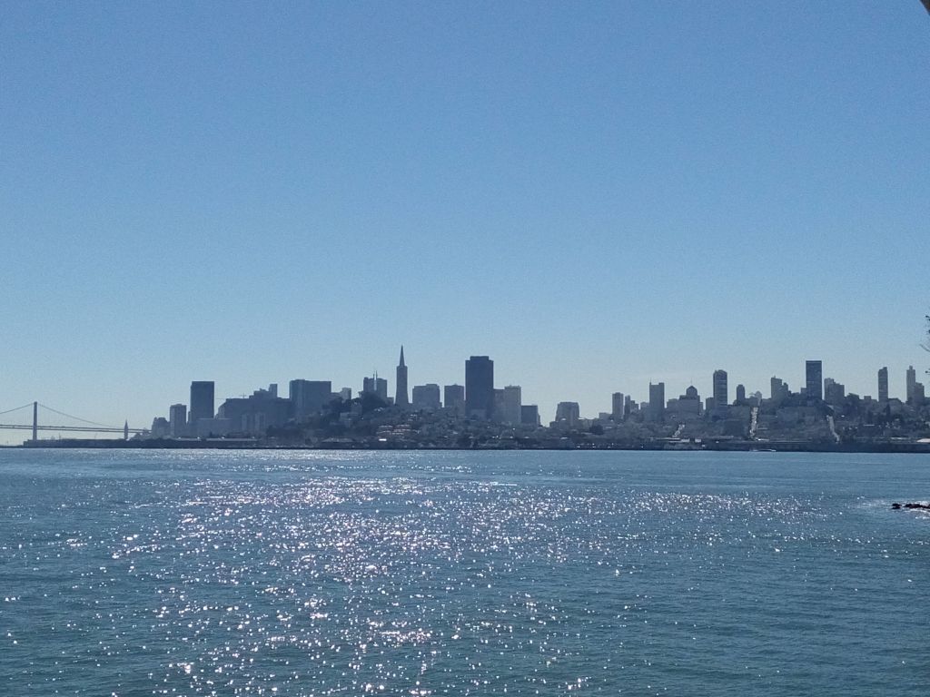 SF.jpg
