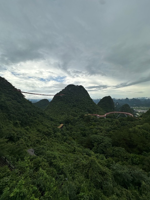 IMG_9829.jpeg