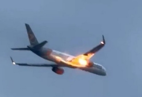 condor.jpg