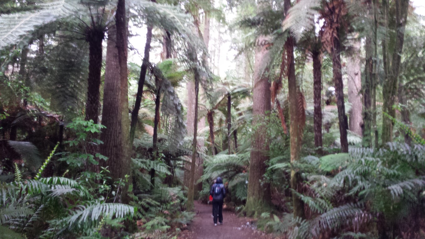 nz_copy_1362x766.jpg