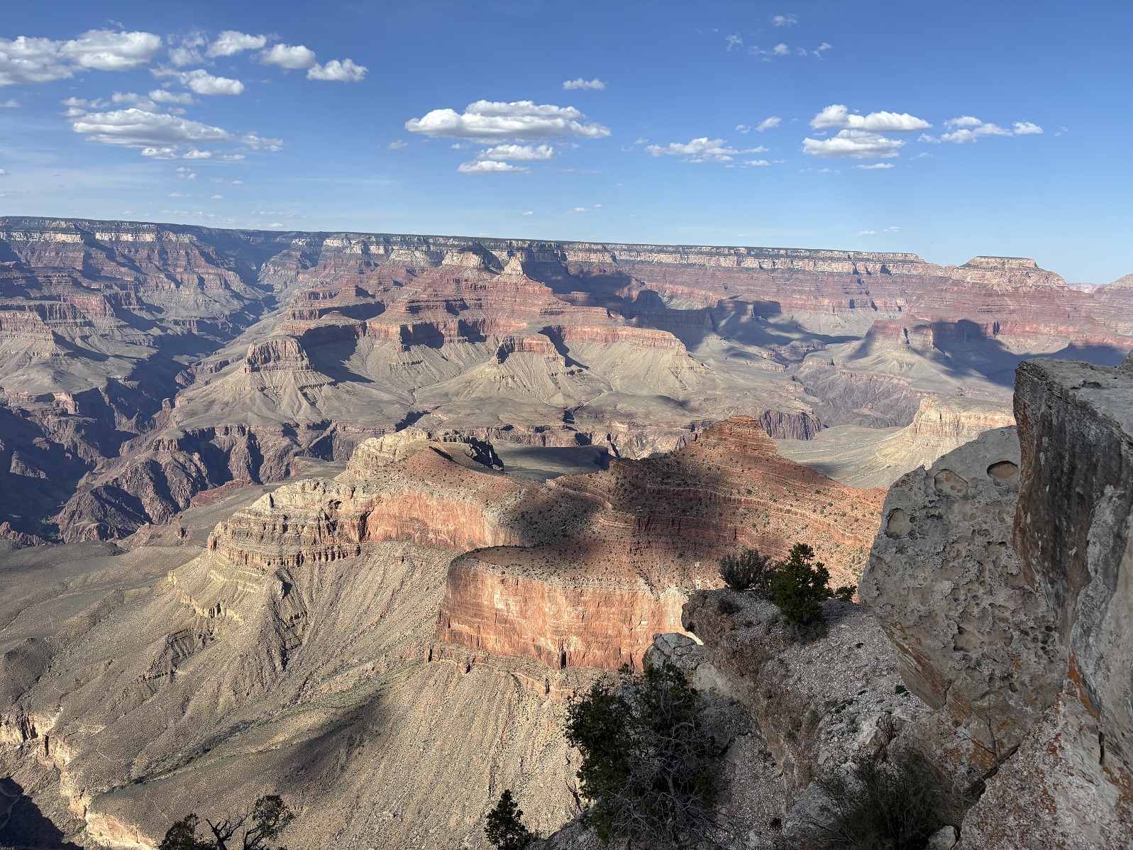 _IMG_9900.jpg