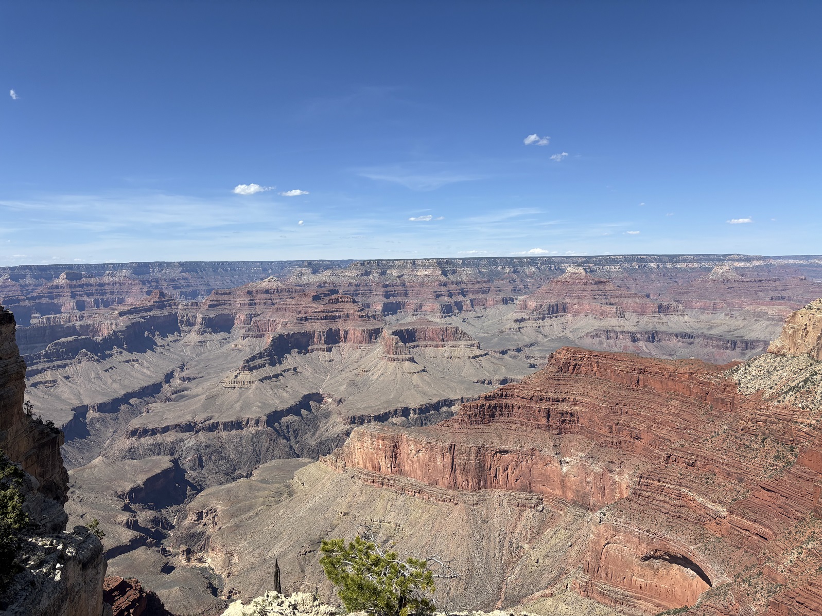 _IMG_9885.jpg