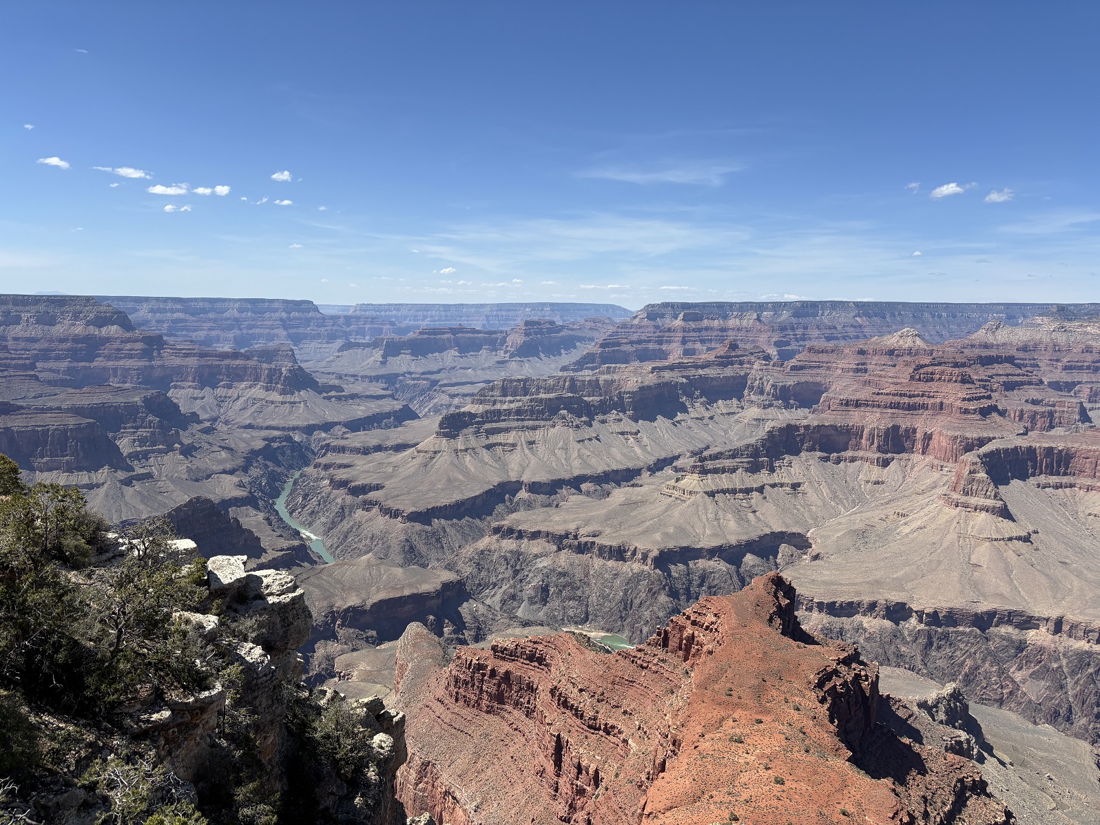 _IMG_9875.jpg