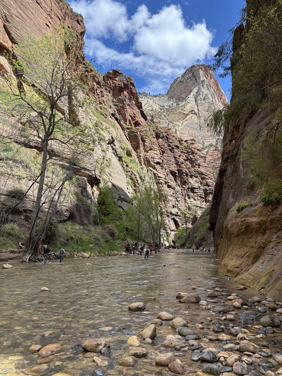 _IMG_0403.jpg