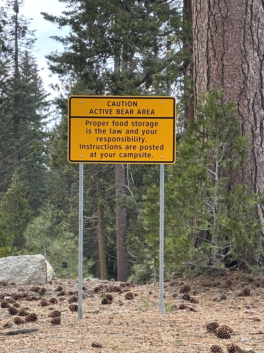 _IMG_0845.jpg