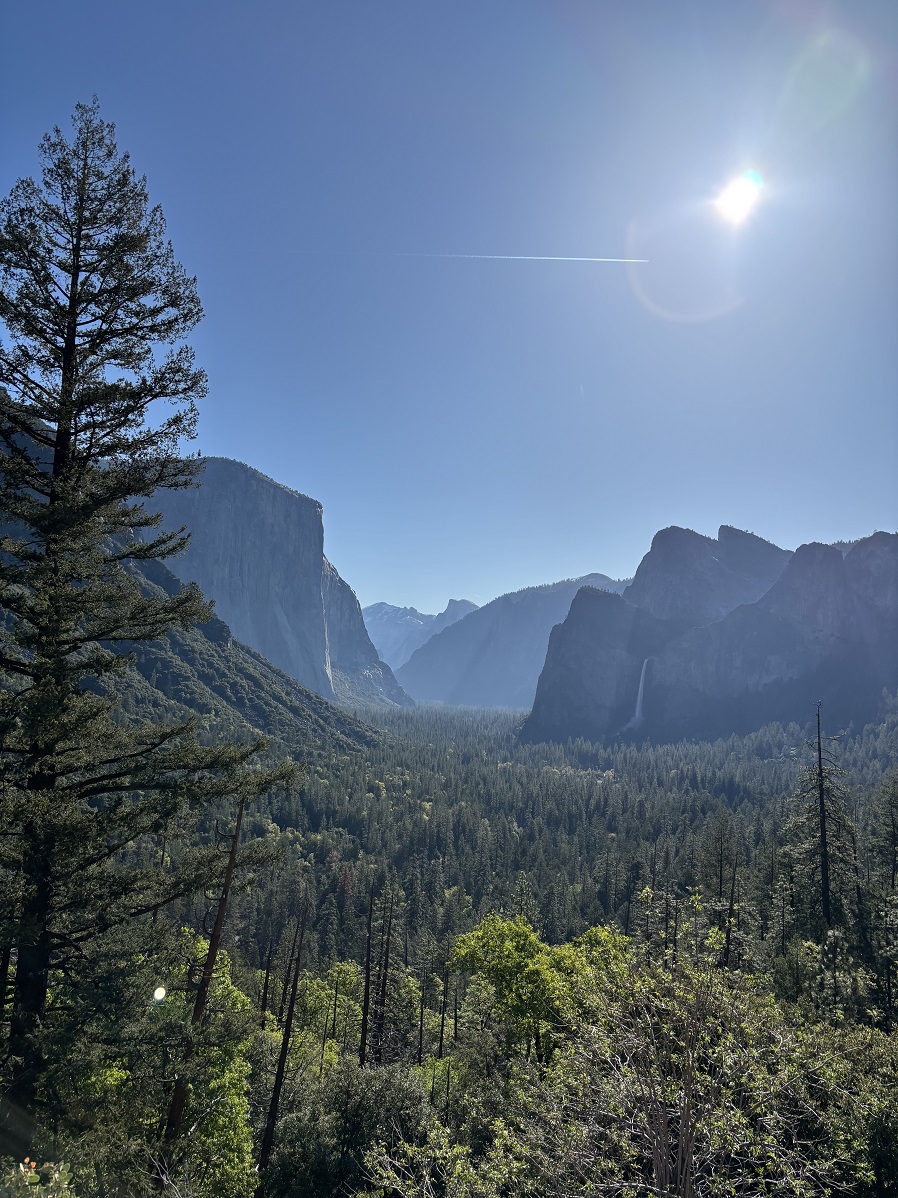 _IMG_0854.jpg