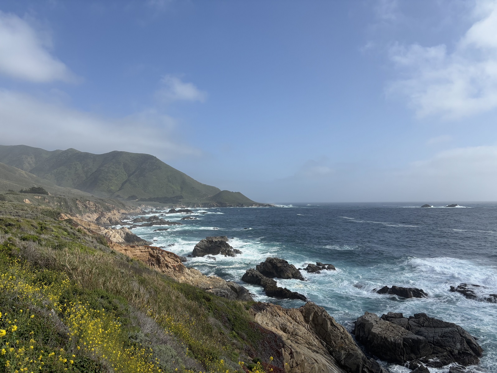 _IMG_1024.jpg