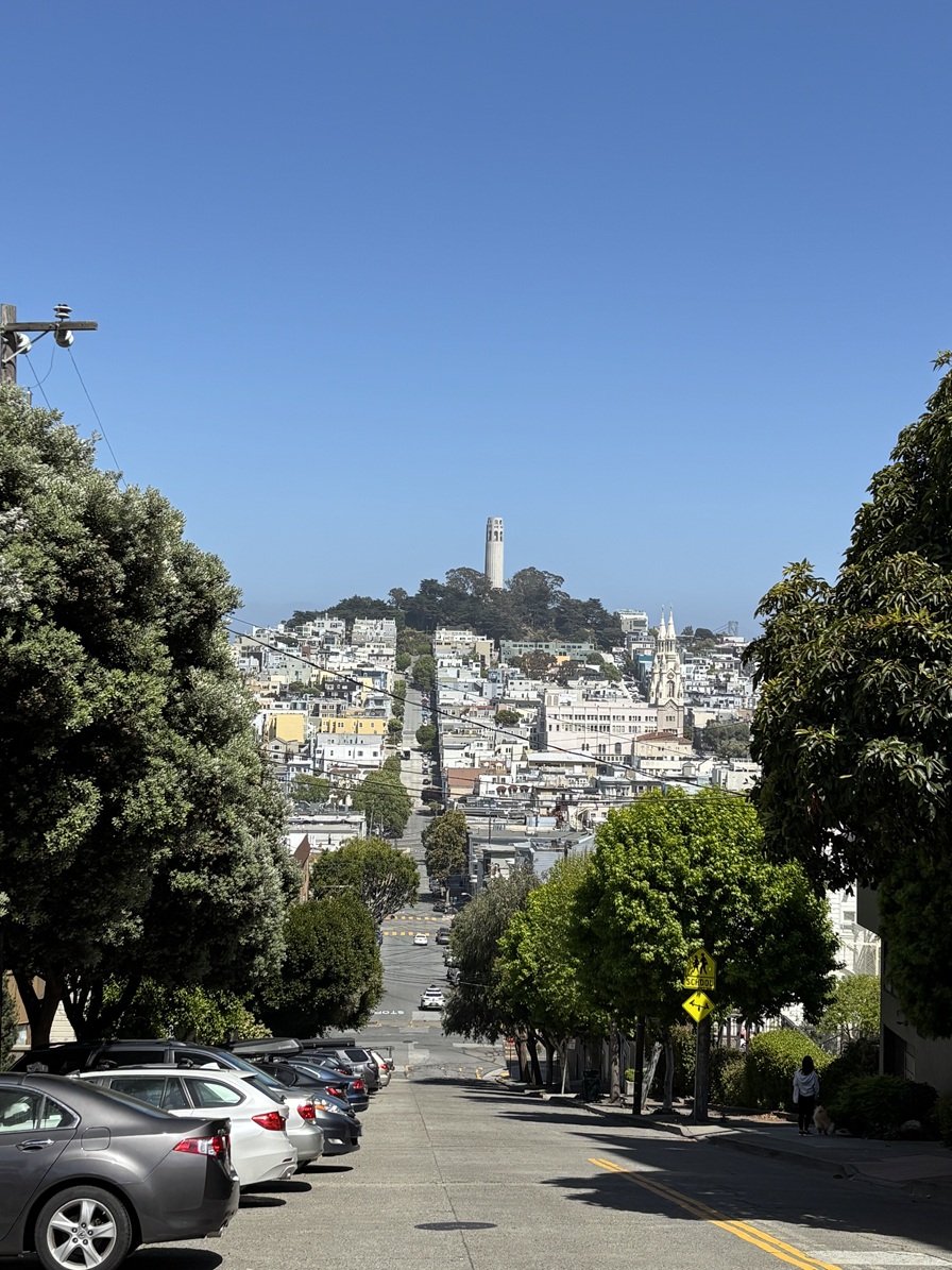 _IMG_1295.jpg