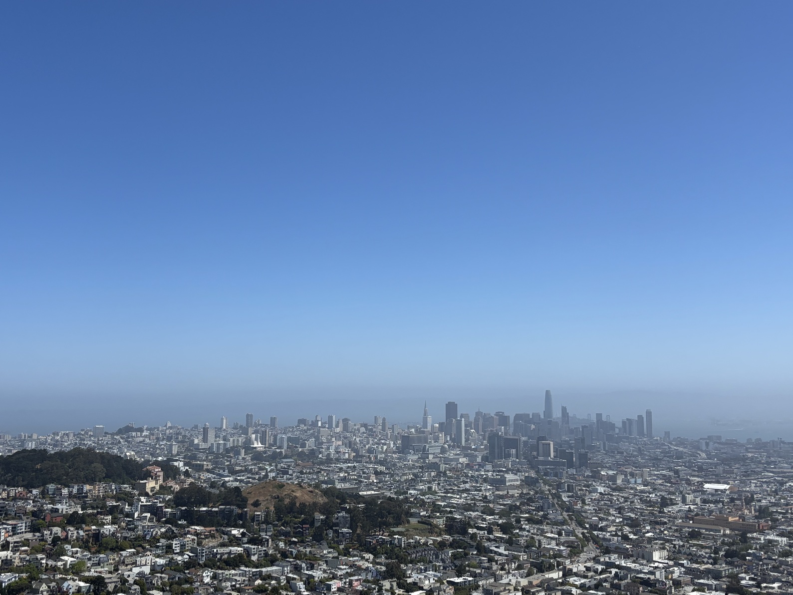 _IMG_1253.jpg