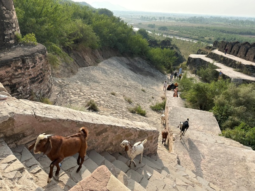 11_Rohtas.JPEG