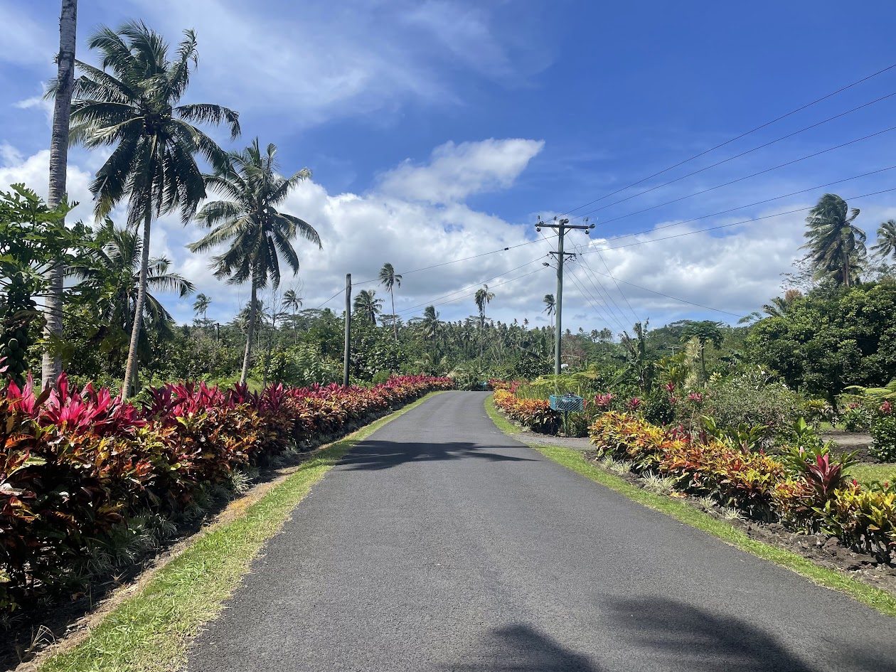 Typowe_Samoa.jpg