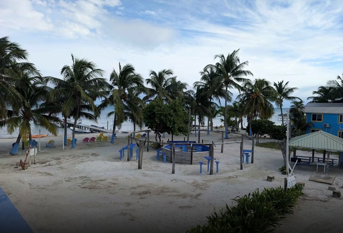 cay3.jpg