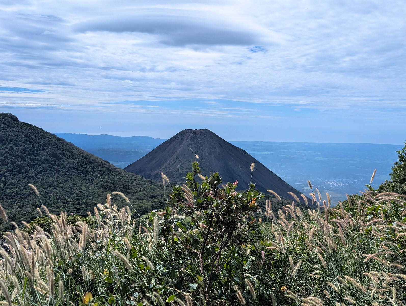 PXL_20251104_163837591.MP.jpg